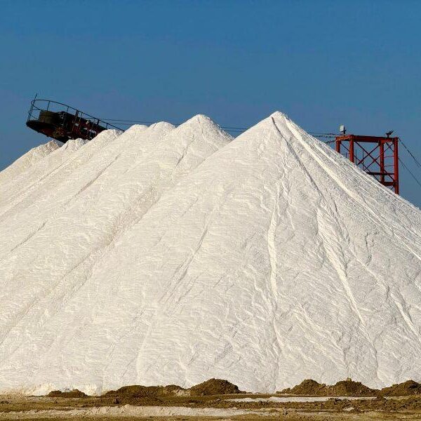 Industrial Salt